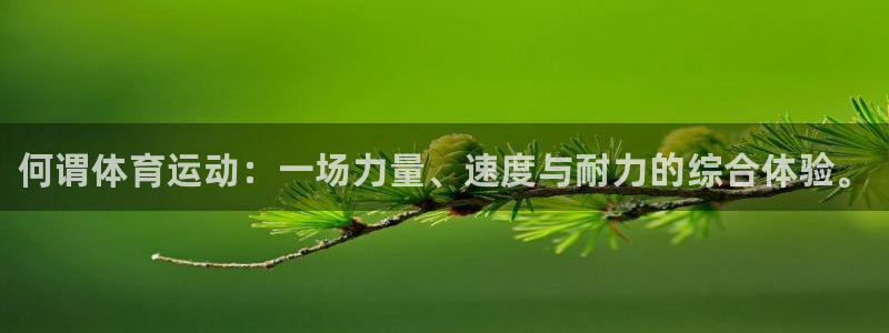 JJB竞技宝官网下载平台是正规平台吗安全吗：何谓体育