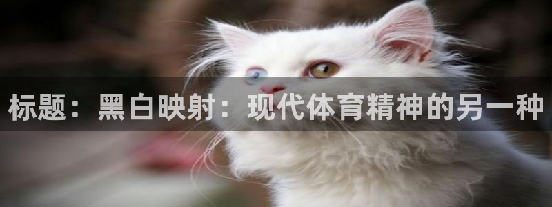 JJB竞技宝官网下载招商电话号码：标题：黑白映射：现