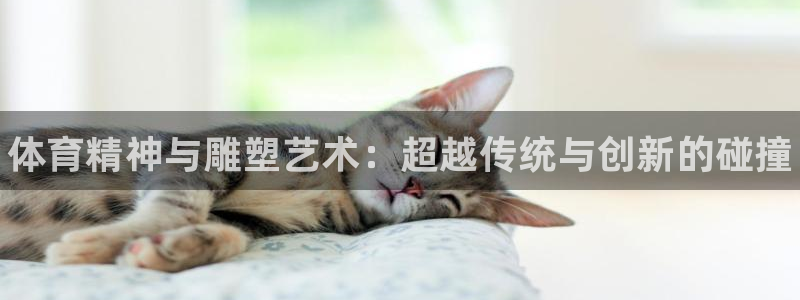 JJB竞技宝官方正版app娱乐首页官网下载：体育精神