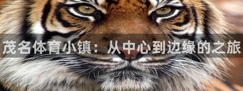 JJB竞技宝官网下载招商电话号码查询：茂名体育小镇：