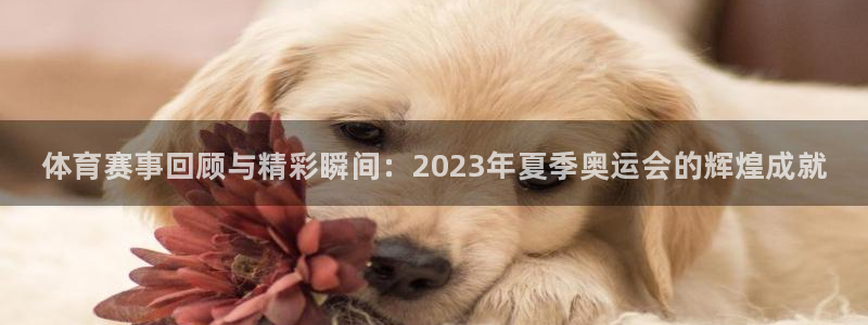 JJB竞技宝官方正版app娱乐网站：体育赛事回顾与精