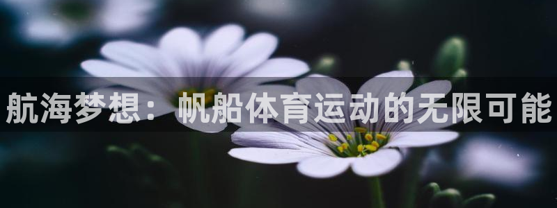 JJB竞技宝官网下载平台：航海梦想：帆船体育运动的无