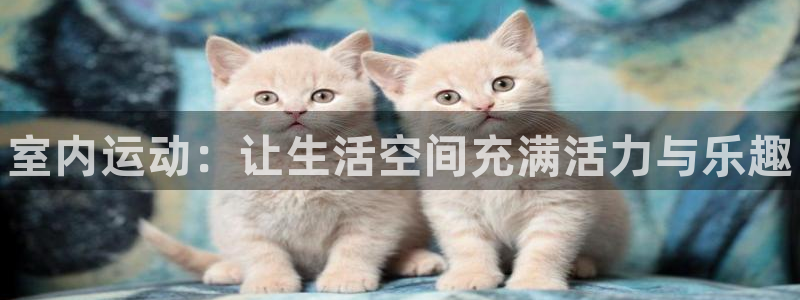 JJB竞技宝官网下载平台注册流程视频：室内运动：让生活空间充