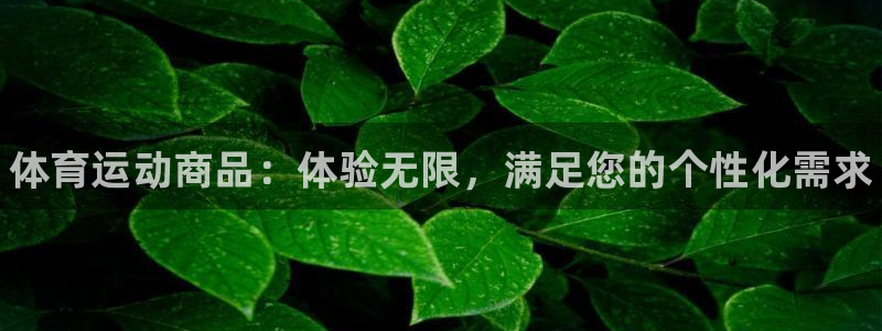 JJB竞技宝官方集团官网：体育运动商品：体验无限，满足您的个
