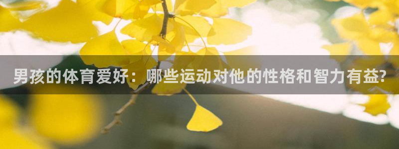 海南JJB竞技宝官网下载发展怎么样：男孩的体育爱好：哪些运动
