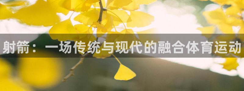 JJB竞技宝官方正版app集团：射箭：一场传统与现代